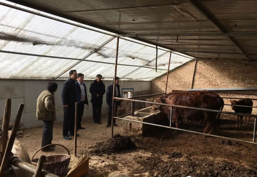 82b99ef192a34f85bb3d5e026be6c278.Png 82b99ef192a34f85bb3d5e026be6c278.Png